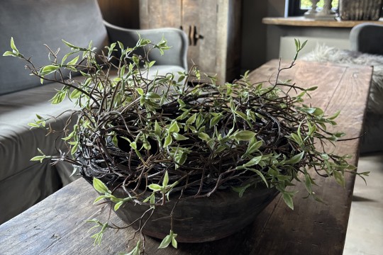 Kunst Salixkrans 